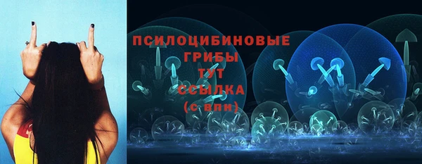 мяу мяу мука Аркадак