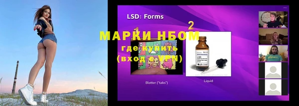мяу мяу мука Аркадак