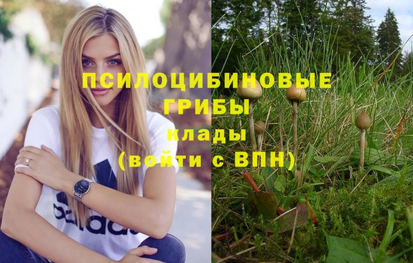 мдпв Арсеньев