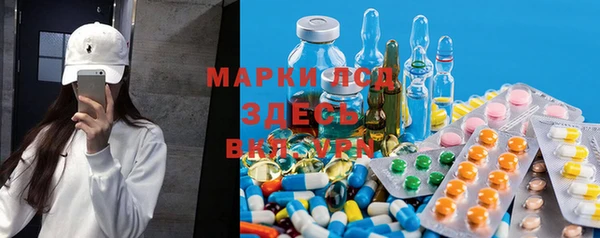 мяу мяу мука Аркадак