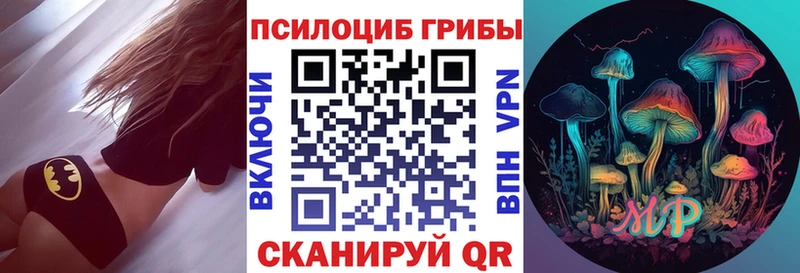 купить  сайты  Облучье  Псилоцибиновые грибы Psilocybe 