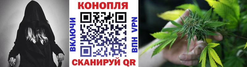 купить наркотик  Облучье  Бошки марихуана план 